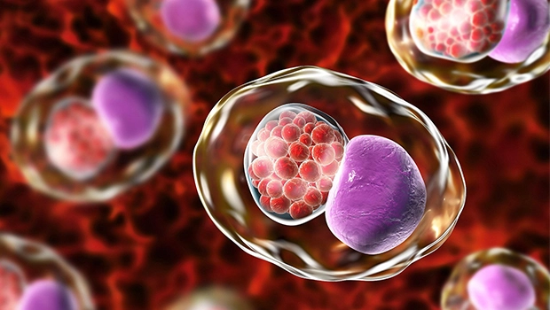 کلامیدیا؛ عفونتی که بی‌صدا پیش می‌ره