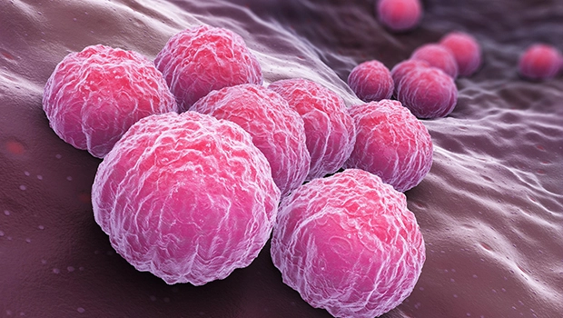 ماهیت و اپیدمیولوژی کلامیدیا