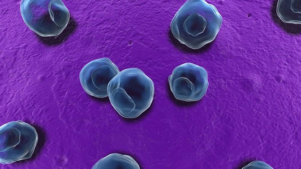 چند عامل خطر افزایش احتمال ابتلا به کلامیدیا