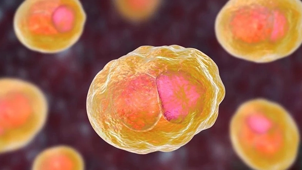 درمان شریک جنسی و پیشگیری از عود